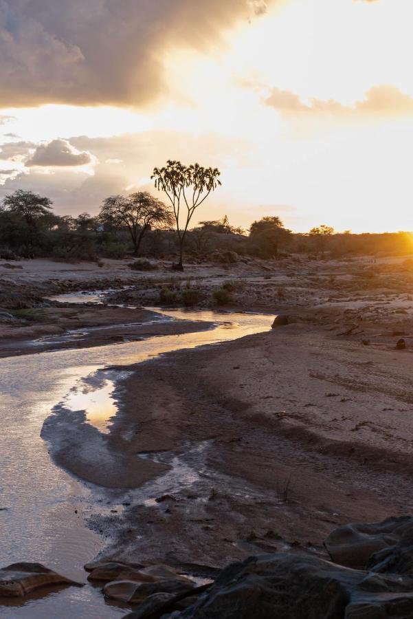 Sarova Shaba Game Lodge Archers Post Екстериор снимка